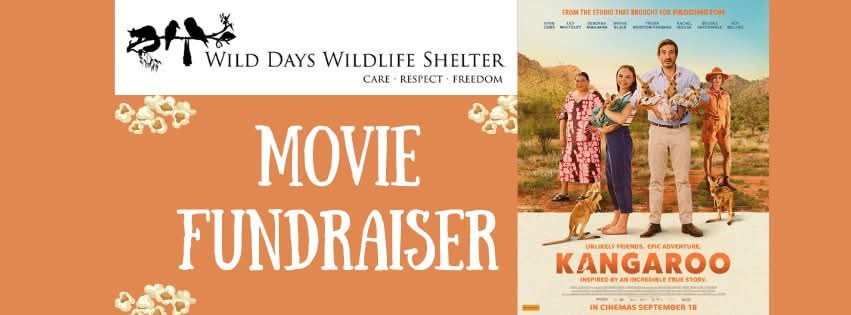 Kangaroo - Movie fundraiser for Wild Days