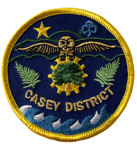 Origins of Casey District Badge