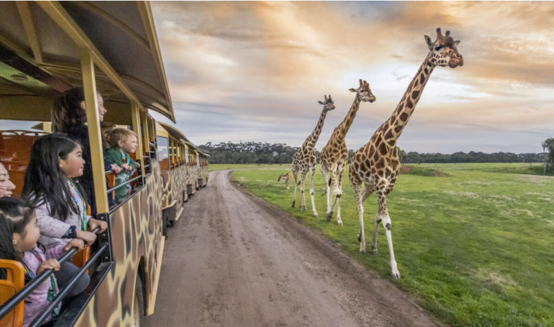 Werribee Zoo Trip 